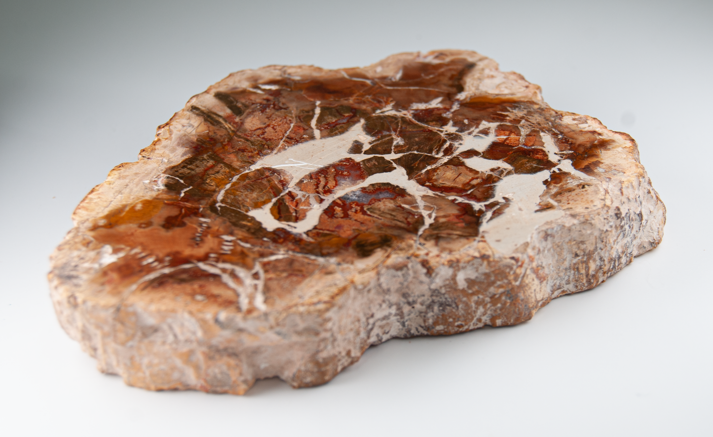 Abnormally Large Petrified Wood Pendant – Handmade Earth Energy Necklace